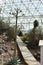 Interior view of the Biosphere 2