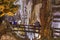 Interior view of Karaca cave located in Cebeli Village, Gumushane city,Turkey