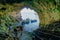 Interior of Zinzulusa Grotto cave system - Puglia, italy