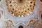 Interiors of Alhambra palace in Granada, Spain