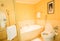 interiors in modern design toilet in luxury hotel