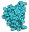 Interleukin 2 (IL-2) cytokine protein. Aldesleukin is a recombinant analog of IL-2 that is used in the treatment of cancer. 3D