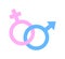 Interlinked Male and Female Symbols in Pastel Pink and Blue. Vector Illustration. Gender Unity.