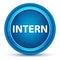 Intern Eyeball Blue Round Button