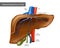 Internal Anatomy of Liver. Medical Illustration