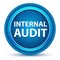 Internal Audit Eyeball Blue Round Button