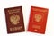 Internal and foreign passports of the Russian Federation