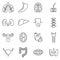 Internal human organs vector icons set in linear design style