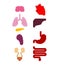 Internal organ pixel art set. 8 bit anatomy of human body. Heart