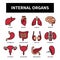 Internal Organs and health icon set