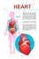 Internal organs medical poster concept