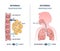 Internal vs external respiration system with air exchange outline diagram