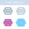 The internals icons. Brain and cerebrum vector outline symbols.