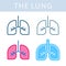 The internals icons. Lung and respiratory system vector outline