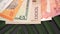 International Currency Banknotes Rotating on Palm Tree Leaf