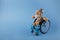 International day of persons with disabilities. Wheelchair wirh toy on blue background.