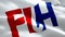 International Hockey Federation flag video. National 3d FIH logo Slow Motion video. International Hockey Federation Flag Blowing C