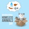 International homeless animals day. cute cartoon kitten in a box Cats rescue, protection, adoption concept.