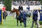 International Horse Riding 87Ã‚Â° Csio Piazza Of Siena Roma 2019 - Premio Loro Piana