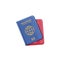 International passports for travel and summer holidays, official document of citizenship