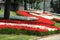 International Tulip Feast, Istanbul, Turkey