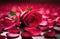 International Women\\\'s Day, Mother\\\'s Day, National Grandmothers Day, one red rose, red rose petals scattered on