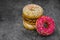 International World Donut Day. Delicious sweet donuts with icing and filling inside on a dark background. American favorite baked