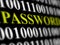 Internet password security concept