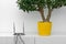 Internet router and flower pot on white shelf