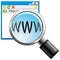 Internet search icon