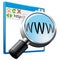 Internet search icon