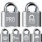 Internet security professional icon set