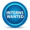 Interns Wanted Eyeball Blue Round Button