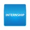 Internship shiny blue square button