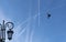 Intersecting Condensation tracks of airplanes on clear blue sky and pigeon also contributes to the view