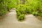 Intersection of two alleys in the park among trees and shrubs. The big alley has splitted in two smaller paths. One alley goes up