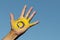 The intersex flag in the palm of the hand