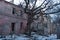 Intertwined old trees on the background of an abandoned dilapidated old mansion