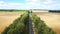 Interurban Road Highway Through Agricultural Field With Driving Car Aerial View