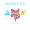 Intestinal flora vector concept with probiotics icons.