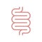 Intestine human graphic icon