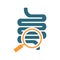 Intestine with magnifying glass colored icon. Organ research, analyzes, disease prevention symbol