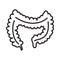 Intestine outline icon vector for medical website, app. Dysbiosis, probiotics logo. Simple health care human organ