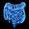 Intestines hologram isolated on black background. Constipation concept, bowel disorder, body scan, digital x-ray, abdominal organs