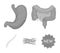 Intestines, stomach, muscles, spine. Organs set collection icons in monochrome style vector symbol stock illustration