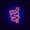 Intestines Structure Neon Sign
