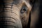 An Intimate View of an Elephant. Generative AI