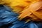 Intimate view of a vivid blue and yellow feather, nature\\\'s harmonious color palette