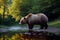 A intimidating brown bear standing next to a body of water.