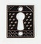 Intricate antique metal rectangle keyhole